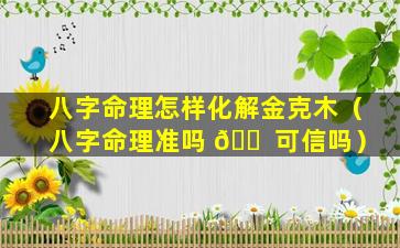 八字命理怎样化解金克木（八字命理准吗 🐠 可信吗）